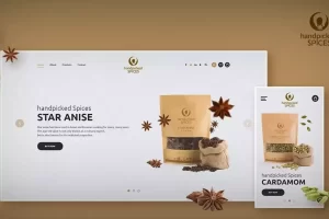 Best SEO services in Kochi